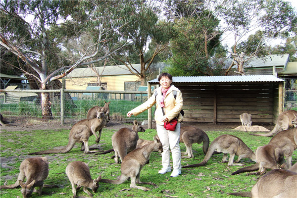 標(biāo)題：澳大利亞之行
瀏覽次數(shù)：8875
發(fā)表時(shí)間：2014-04-15