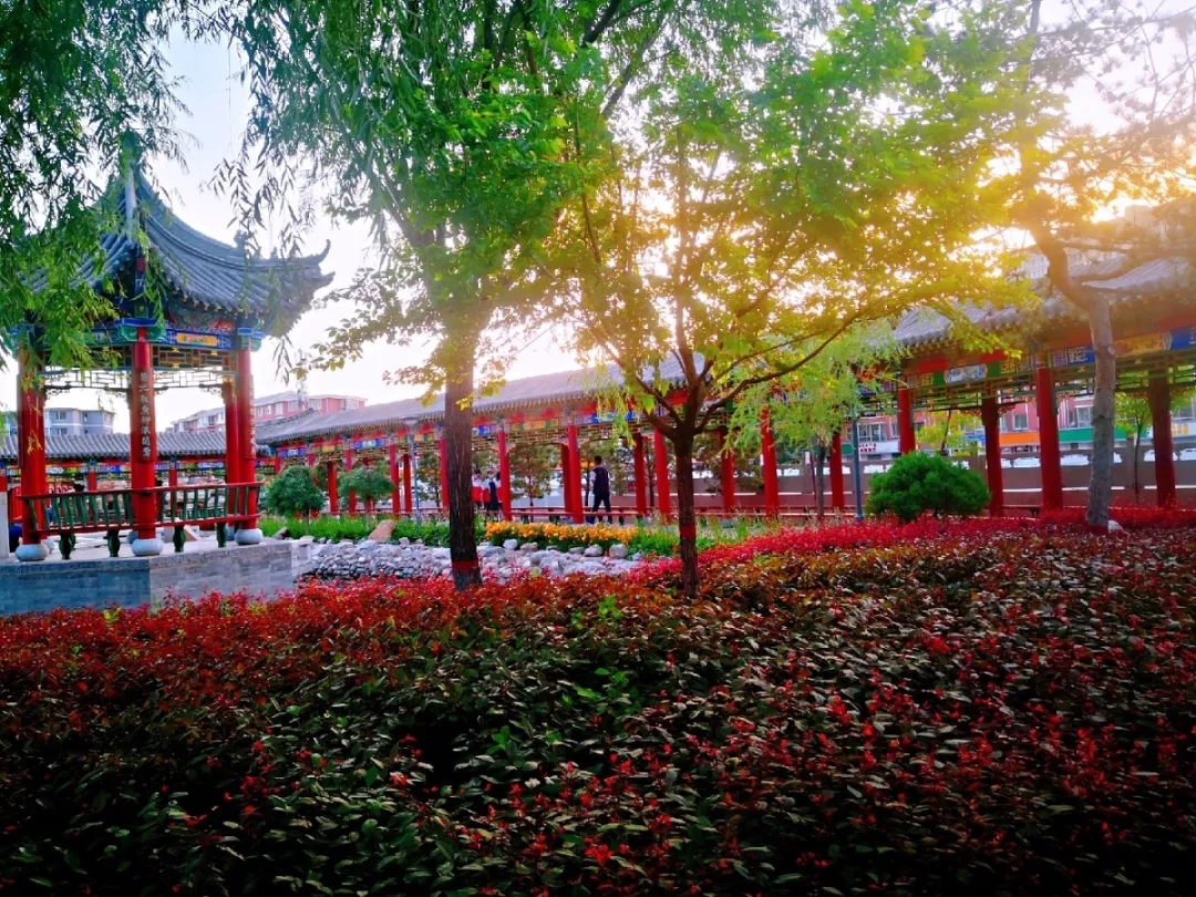 標(biāo)題：百年黌學(xué)綻新彩，辛勤換得花滿園
瀏覽次數(shù)：792
發(fā)表時間：2020-07-22