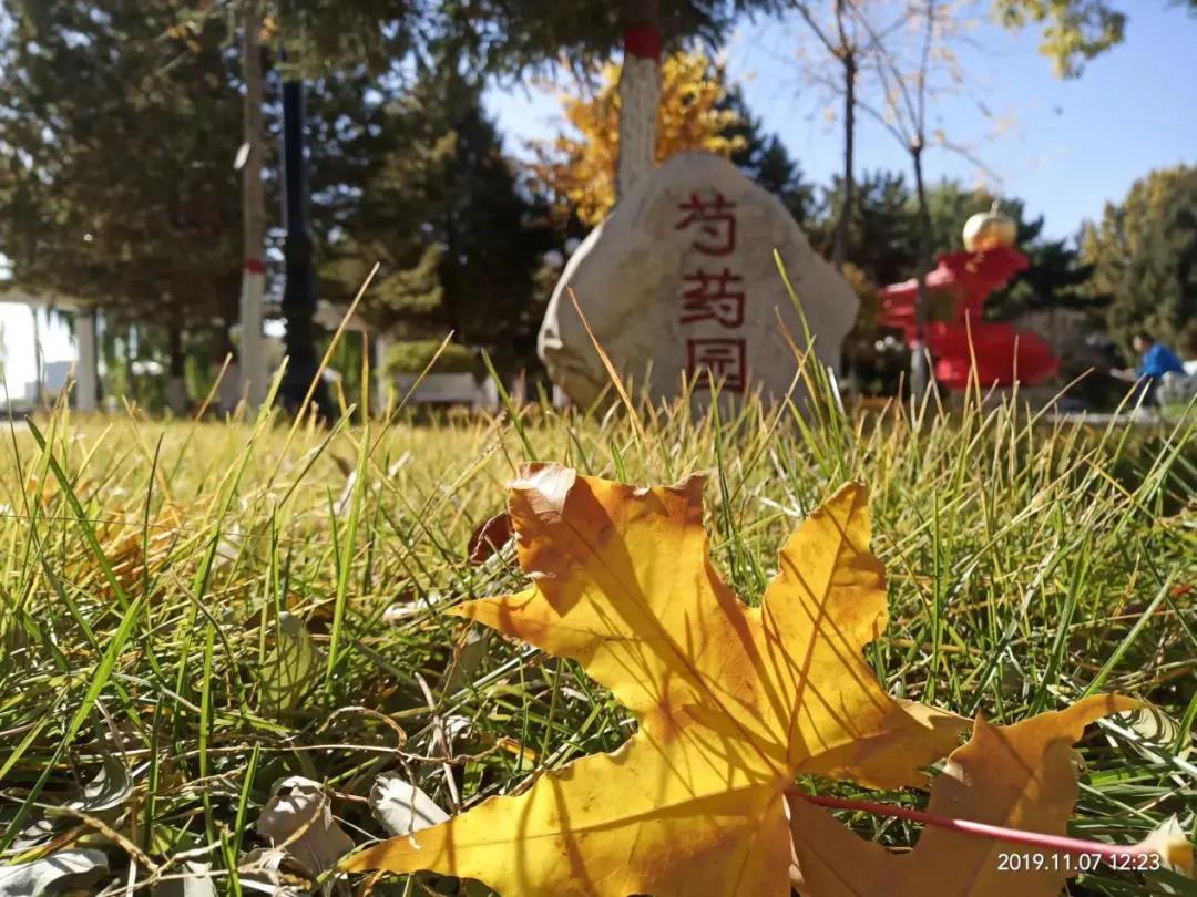 標題：“最美一中”攝影比賽獲獎美圖等你來贊！
瀏覽次數(shù)：1380
發(fā)表時間：2020-12-29